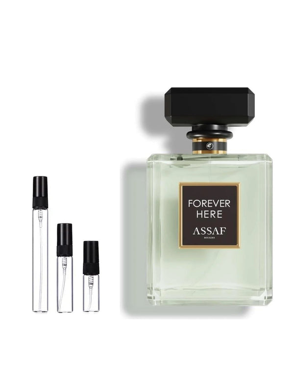 Assaf Forever Here Probe – Abfüllung im Glaszerstäuber (2, 5 oder 10 ml)
